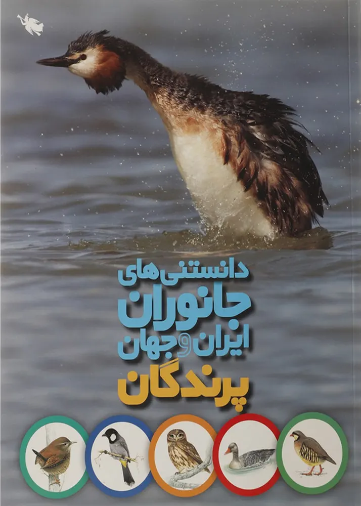 دانستنی های جانوران ایران و جهان (پرندگان)